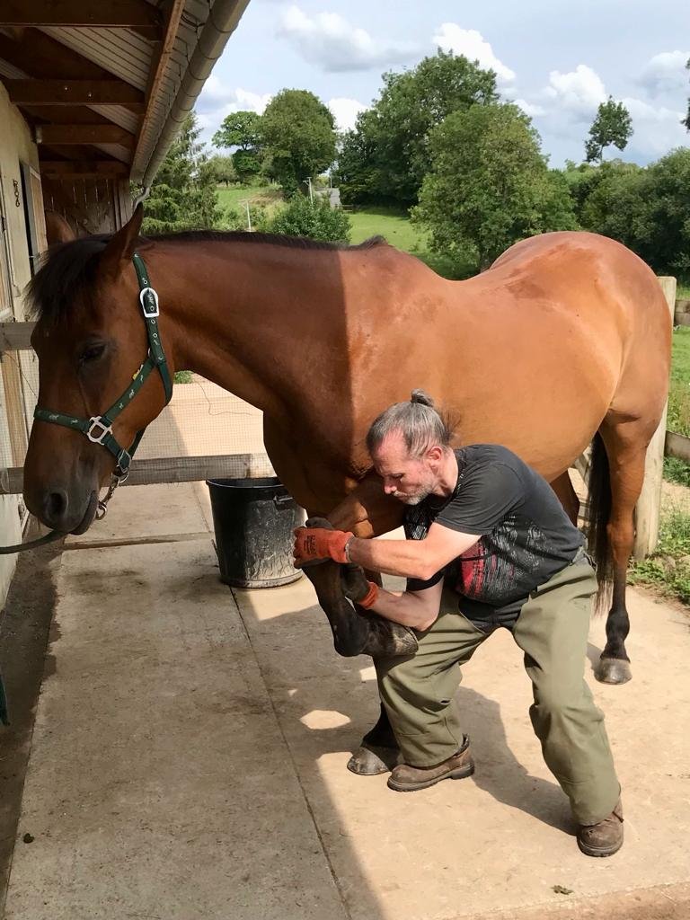 olivier_lapierre_accupuncture_osteopathie_vire_normandie_domicile_cheval
